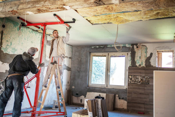 Insulation Repair Services in Norwalk, IA